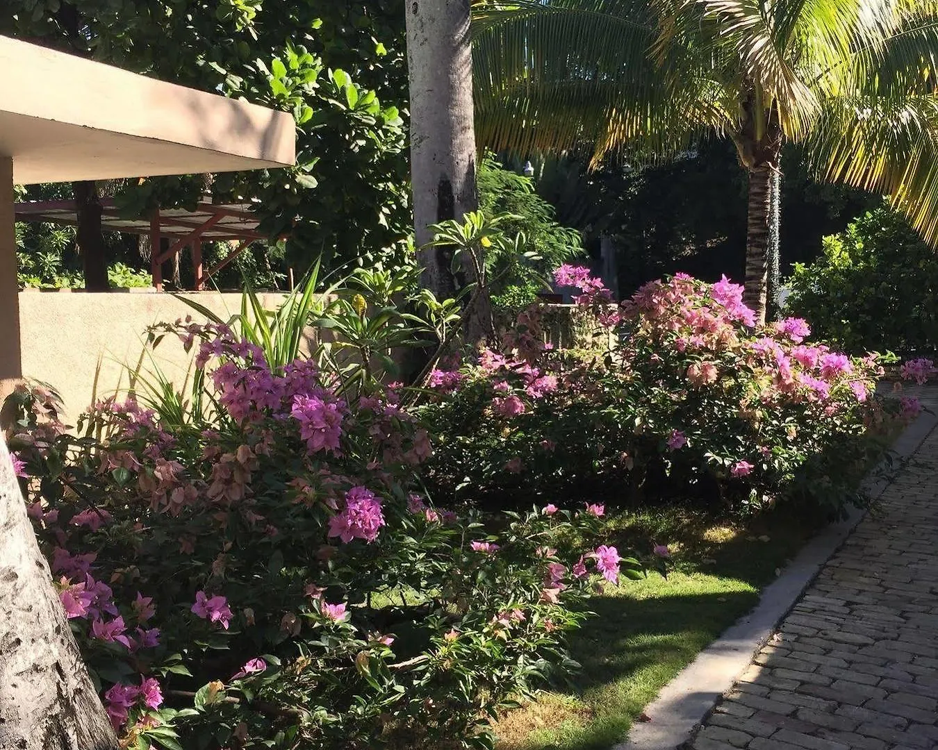 Palm Residence Petionville Hotel